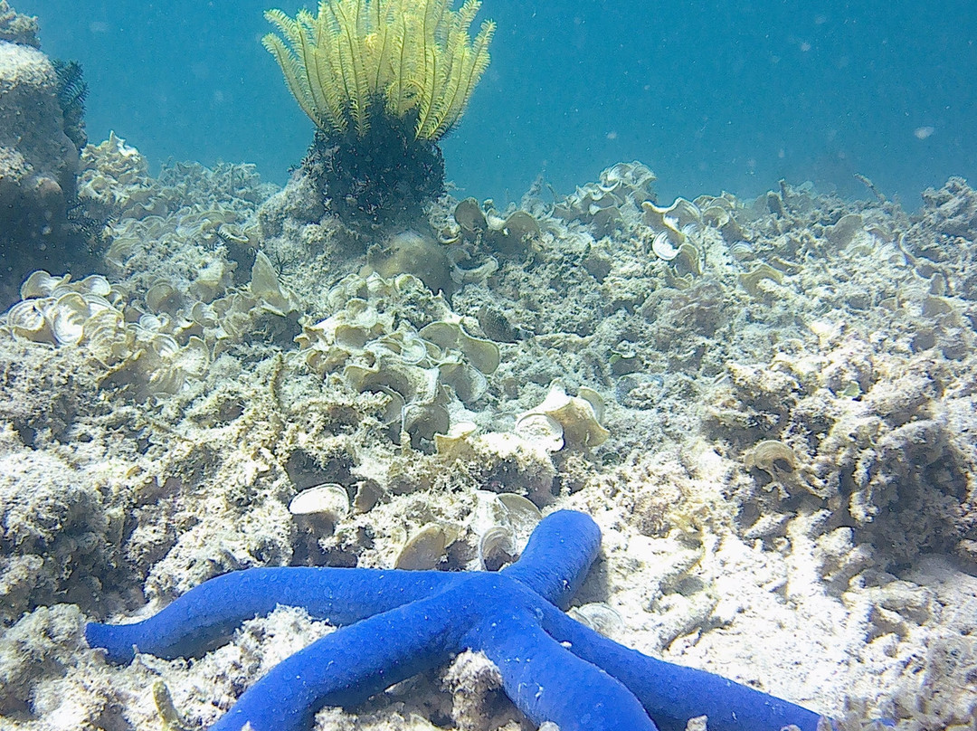 Mimpi Manis Snorkel Trips-Kuta必去景点