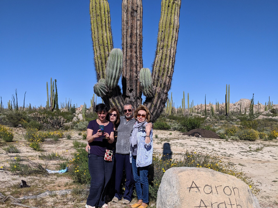 BajaDayTripper-罗萨里多必去景点