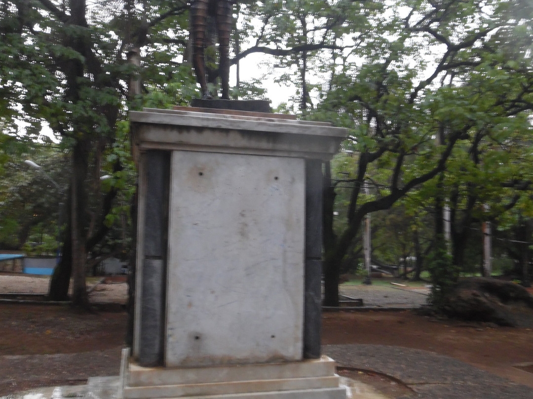 Plaza de la Cultura景点图片