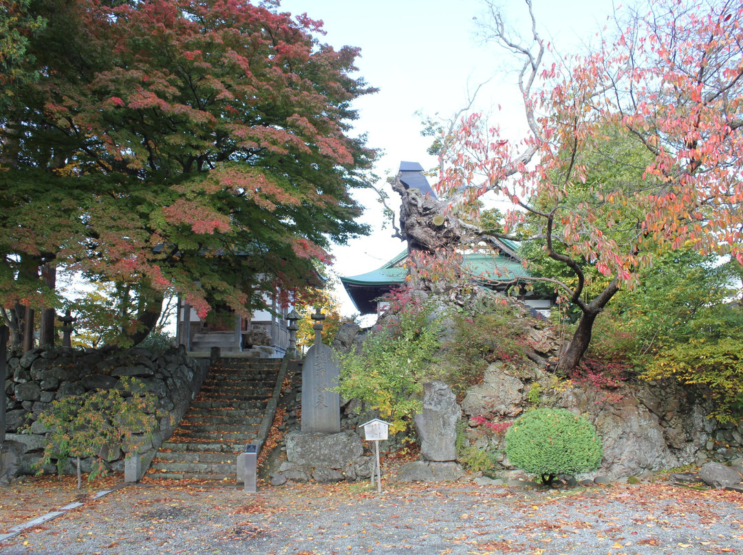 Rurizan Yakushi-ji Temple-黑石市必去景点