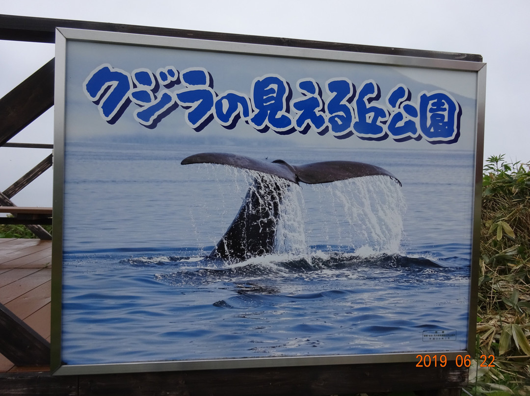 Kujira no Mieru Oka Park景点图片