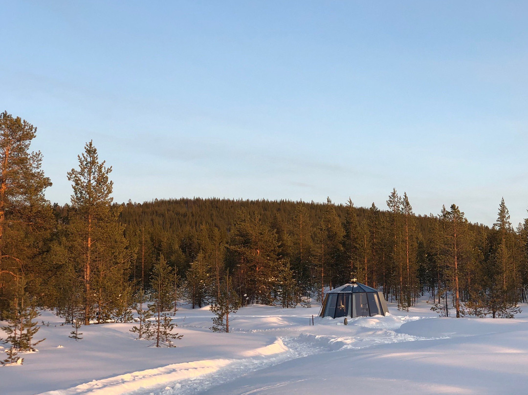 Arctica Lapland-伊瓦洛必去景点