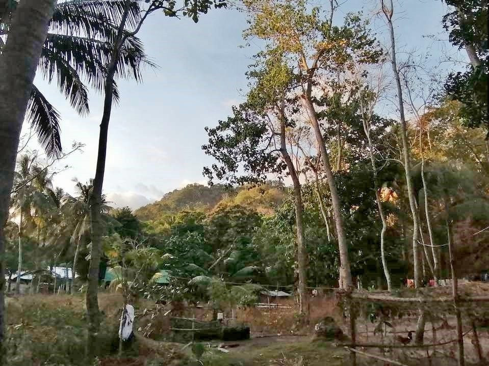Lagoon Trail景点图片