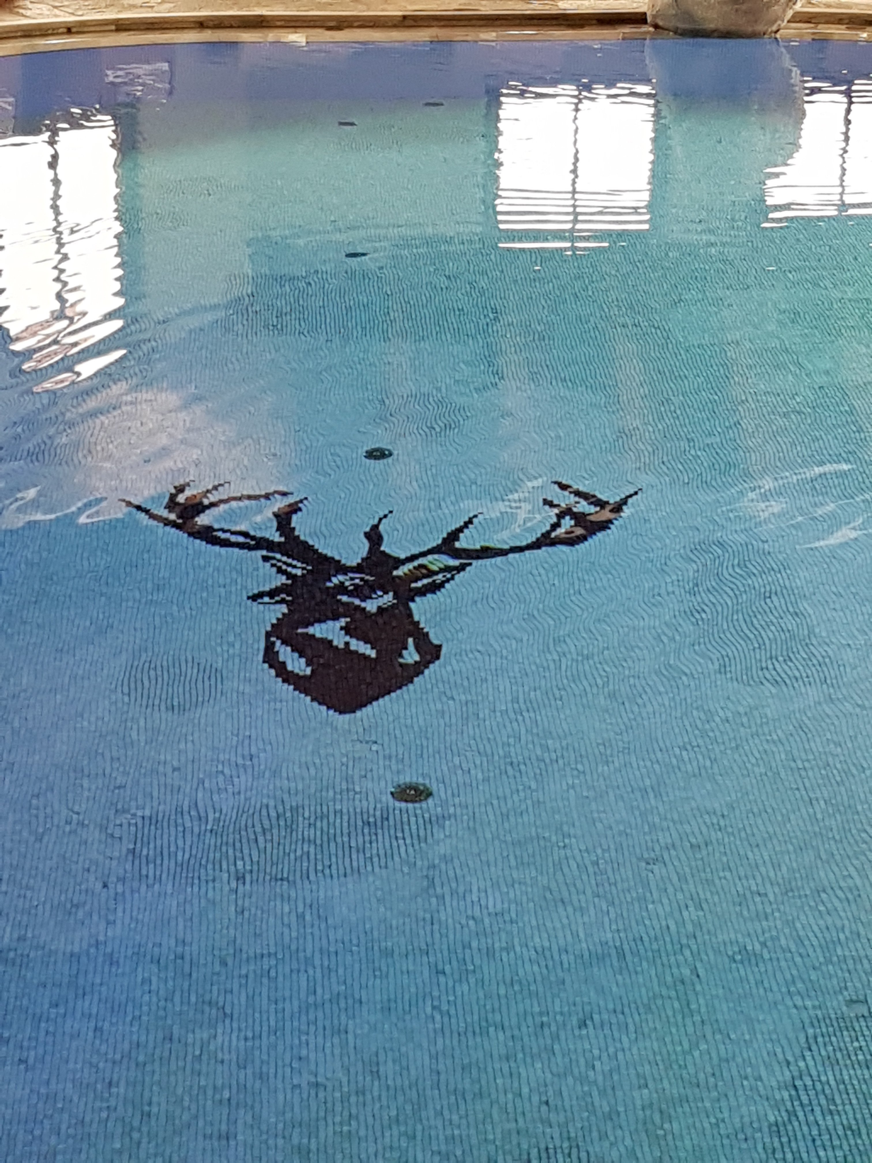 Wellness Hotel Walserhof-泳池