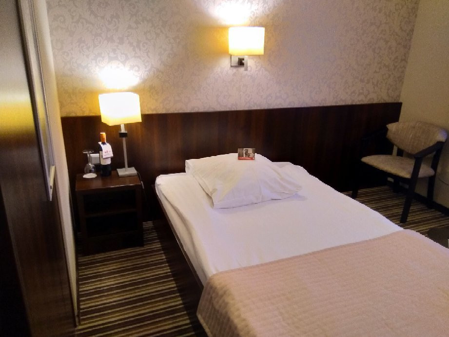 Park Hotel Diament Wrocław主图