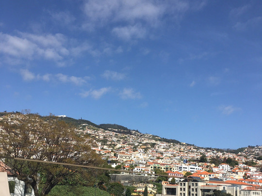 Levadas Madeira-沙尔必去景点