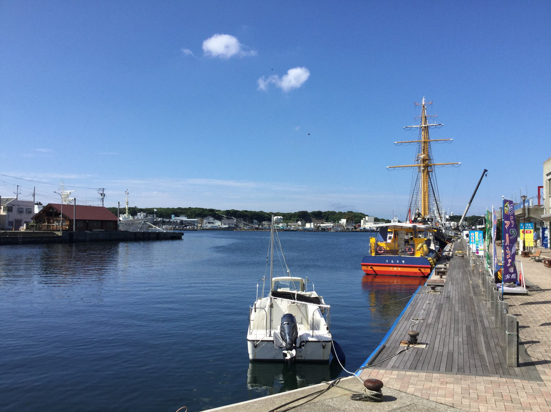 Misaki Port-三浦市必去景点