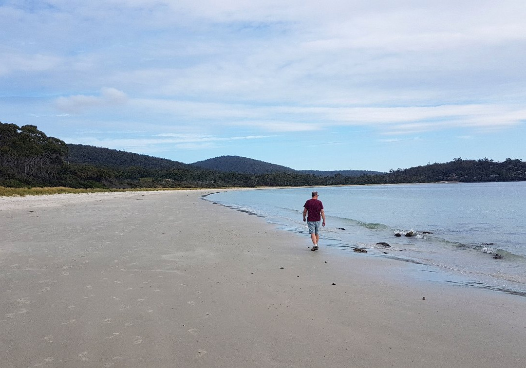 海滩竖琴手酒店主图