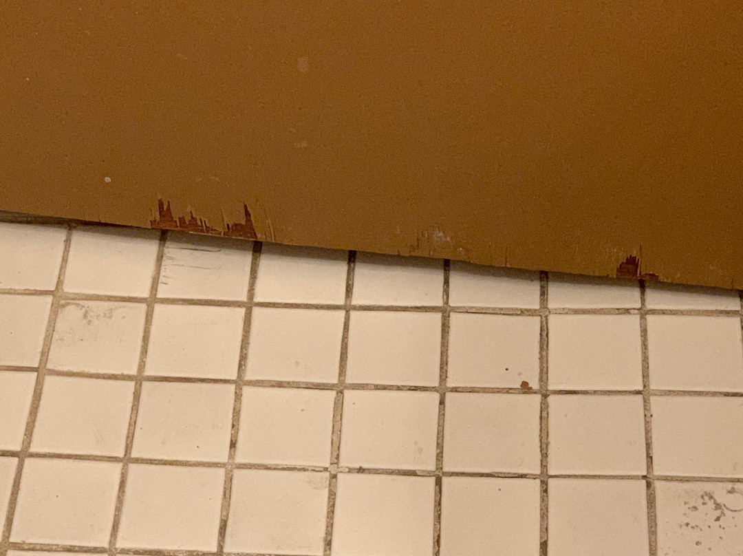 The Lodge At Bretton Woods主图