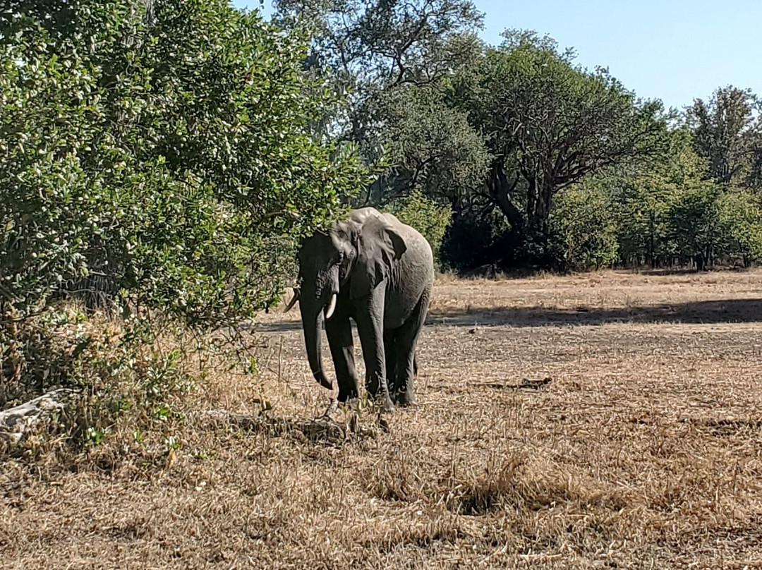 See Malawi Travel-里朗威必去景点
