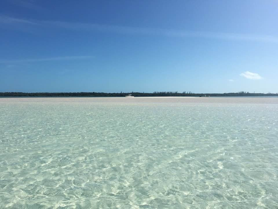 Island Charters景点图片