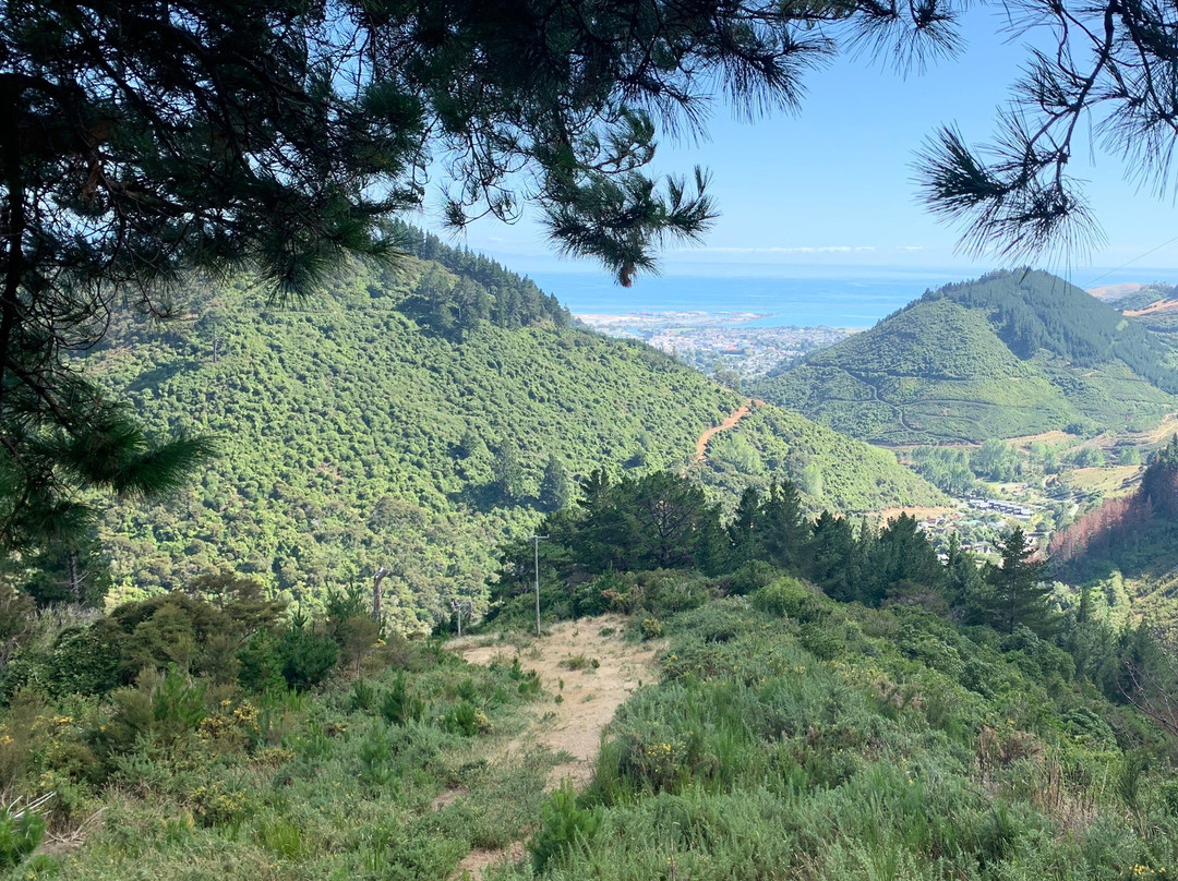 Dun Mountain Trail景点图片