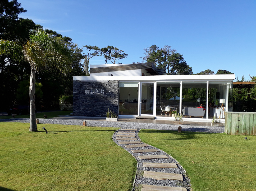 Live Hotel Boutique主图