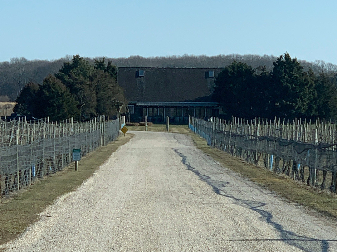 Channing Daughters Winery-Bridgehampton必去景点