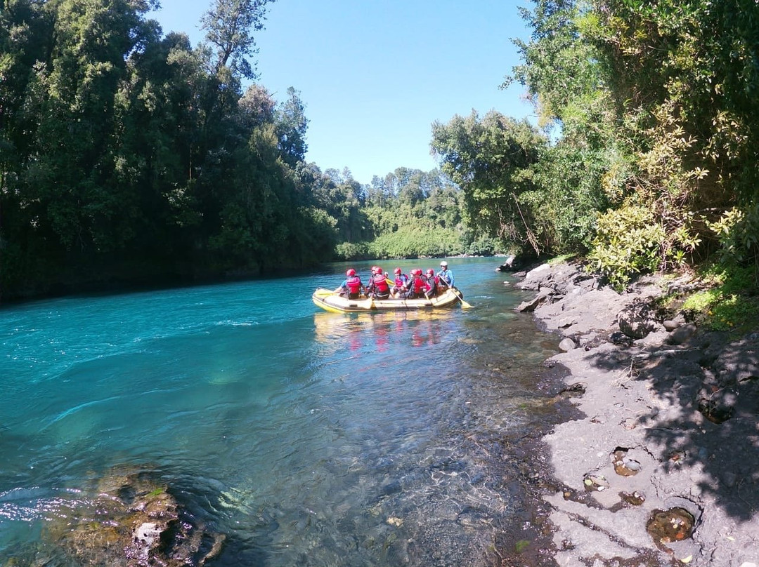 Rio Bueno Expediciones-Lago Ranco必去景点