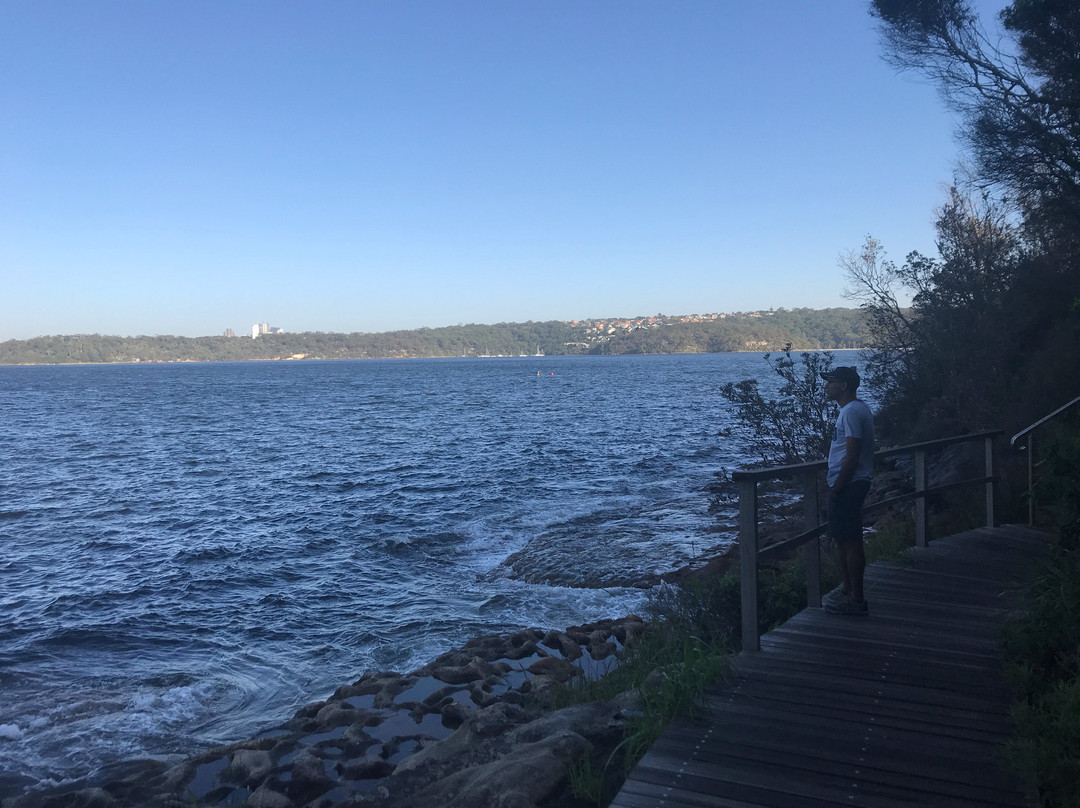 玫瑰湾至尼尔森公园漫步-悉尼必去景点