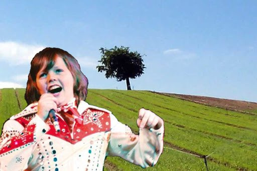 Oak Tree Farm-Stonnall必去景点