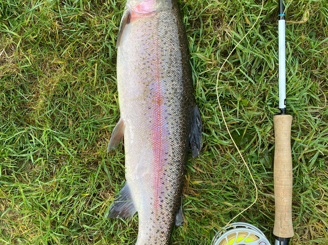 Bellbrook Valley Trout Fishery-Oakford必去景点
