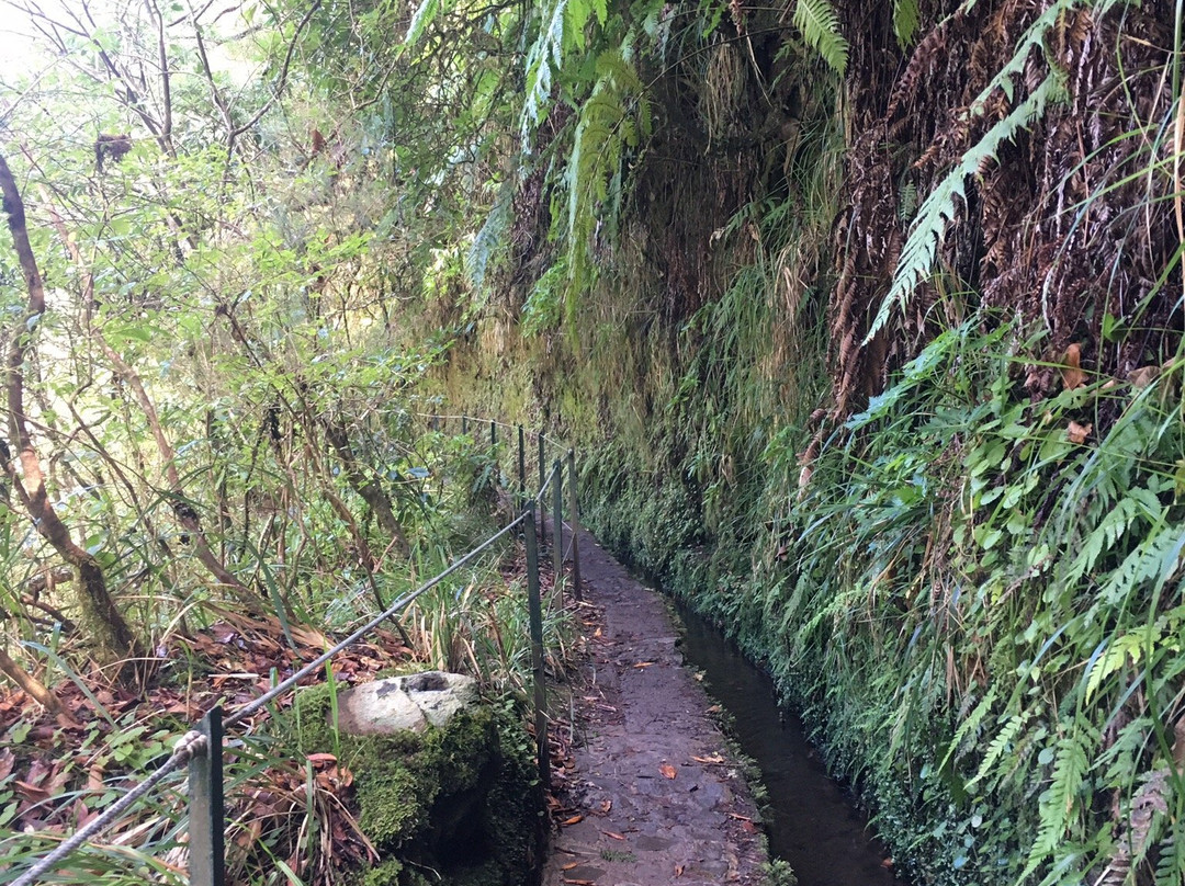 Parque Florestal das Queimadas-Santana必去景点