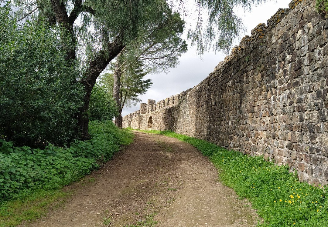 Castelo de Montemor-o-Novo景点图片