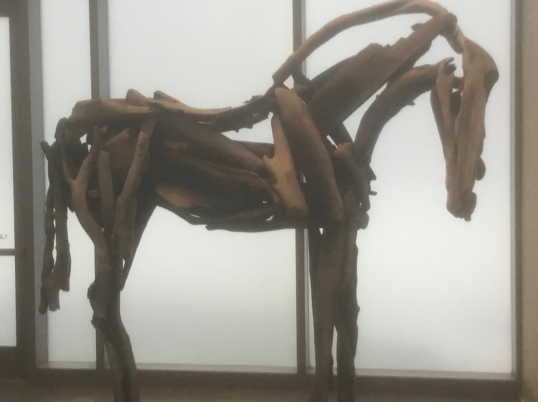 Flint Institute Of Arts Museum + Art School-弗林特必去景点