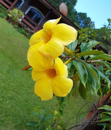 Refugio Serra Negra Pousada e Chales de Charme主图