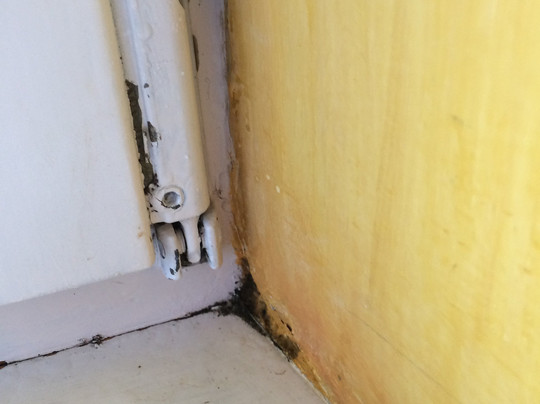 Vitaloase zu den Drei Brudern主图