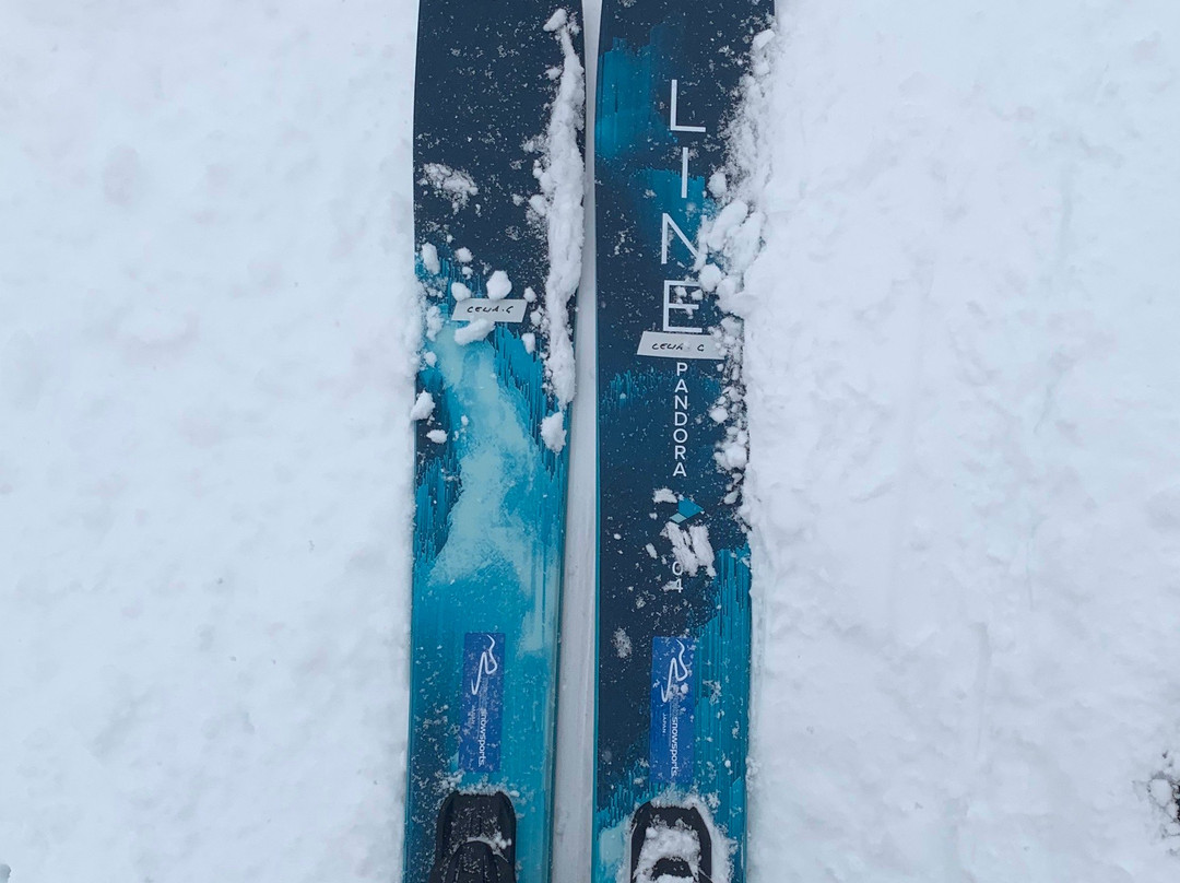 Myoko Snowsports景点图片
