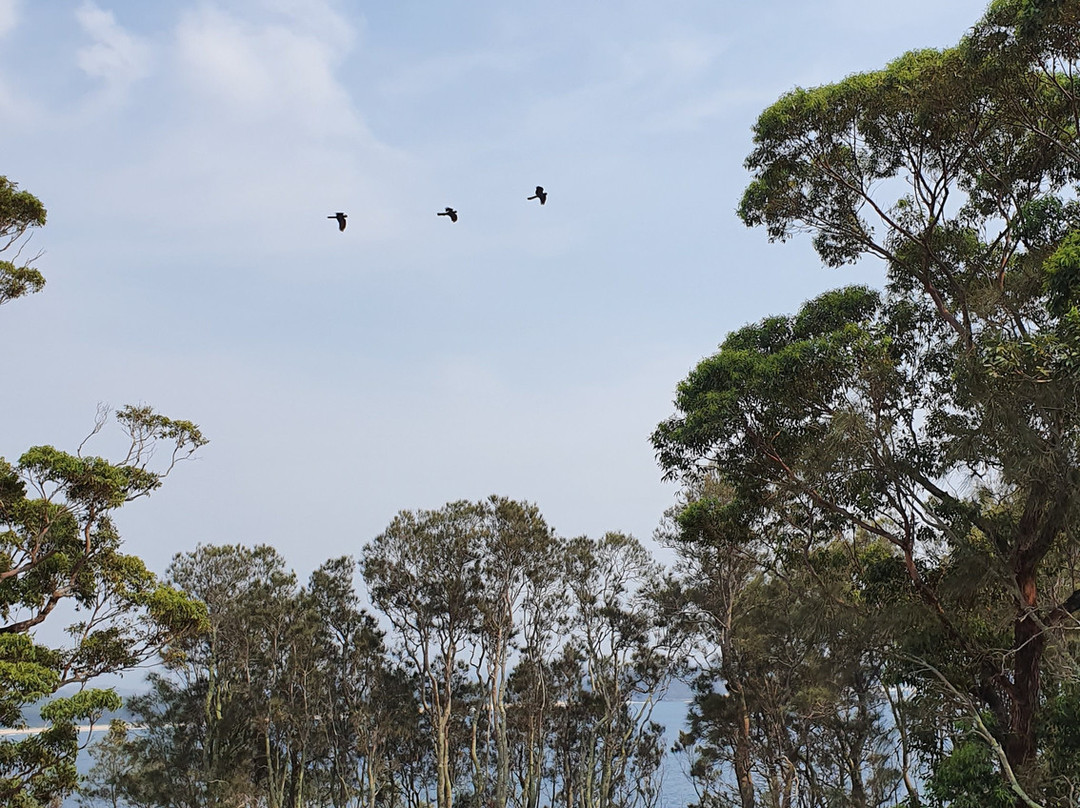 班尼斯特高级酒店主图