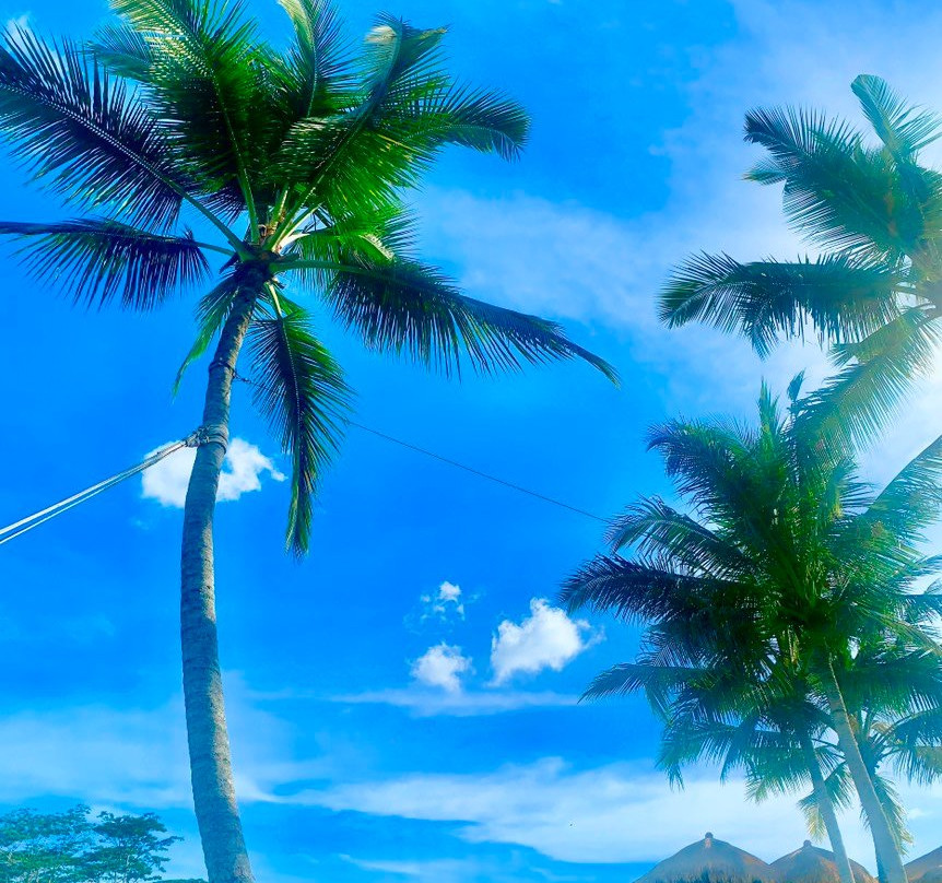 ヤスイツアー | Bali Yasui Tour-登巴萨必去景点