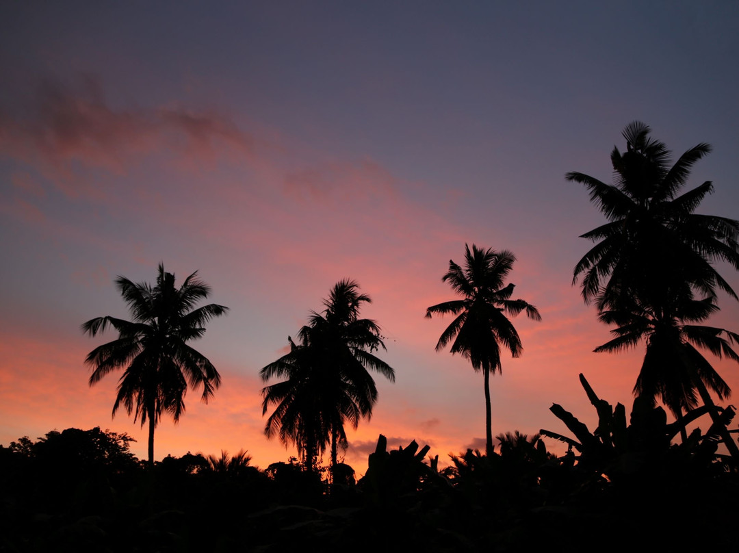 Siberut National Park-Siberut必去景点