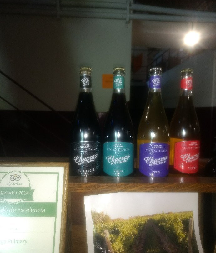 Bodega Pulmary景点图片