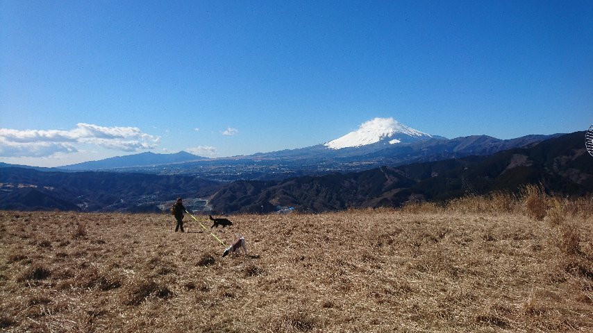 Onoyama景点图片