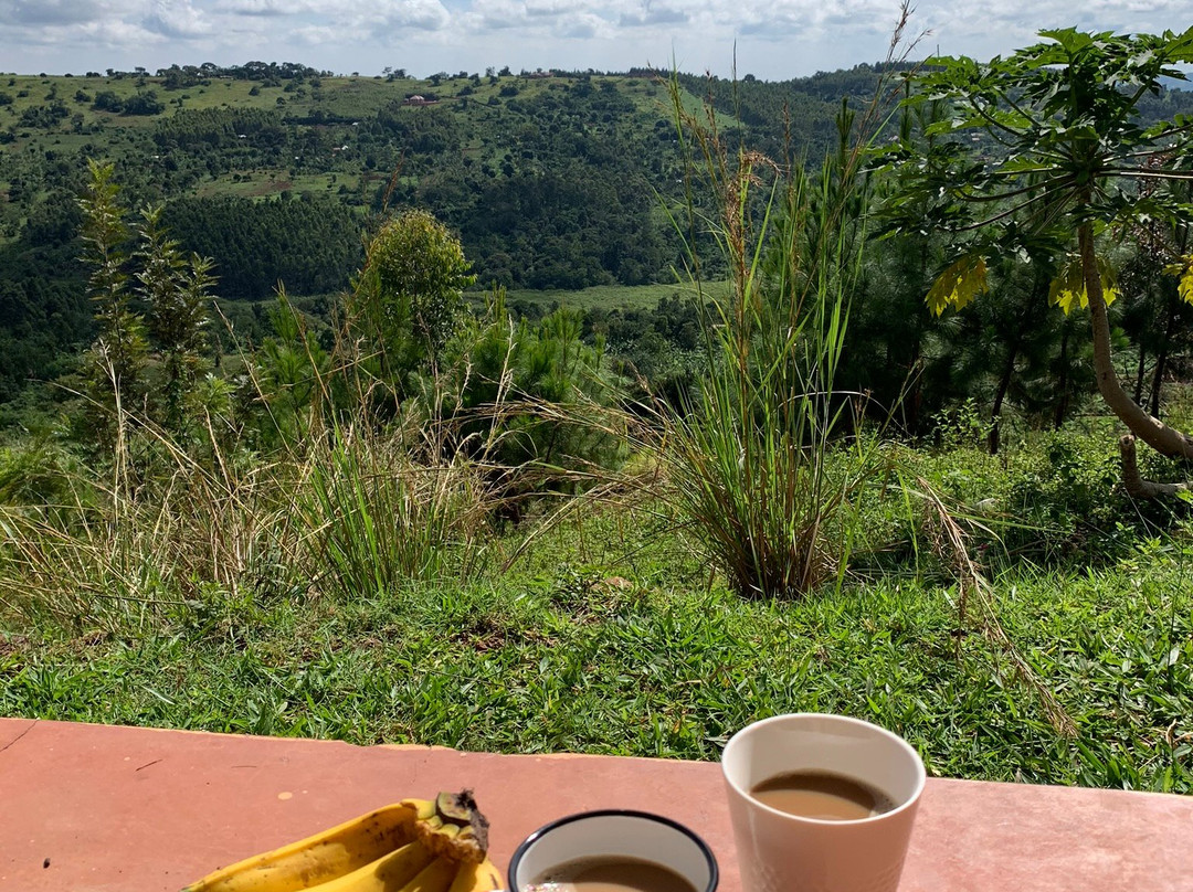 Social Innovation Museum-坎帕拉必去景点