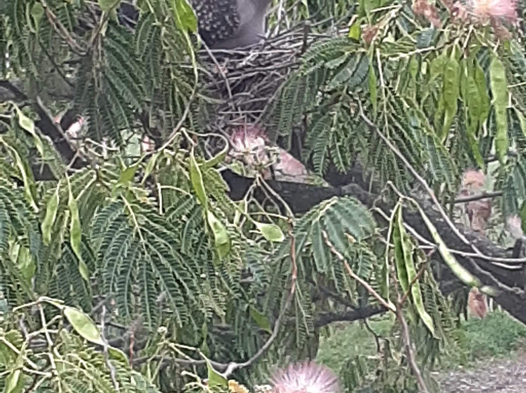 Saldungaray酒店住宿-Raices B&B Boutique