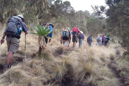 Ethio paradise tours-巴哈尔达尔必去景点