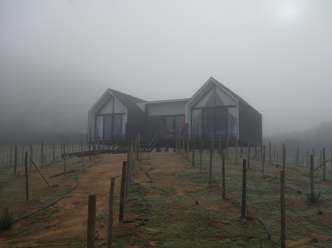 Oeno Wine Lodge主图