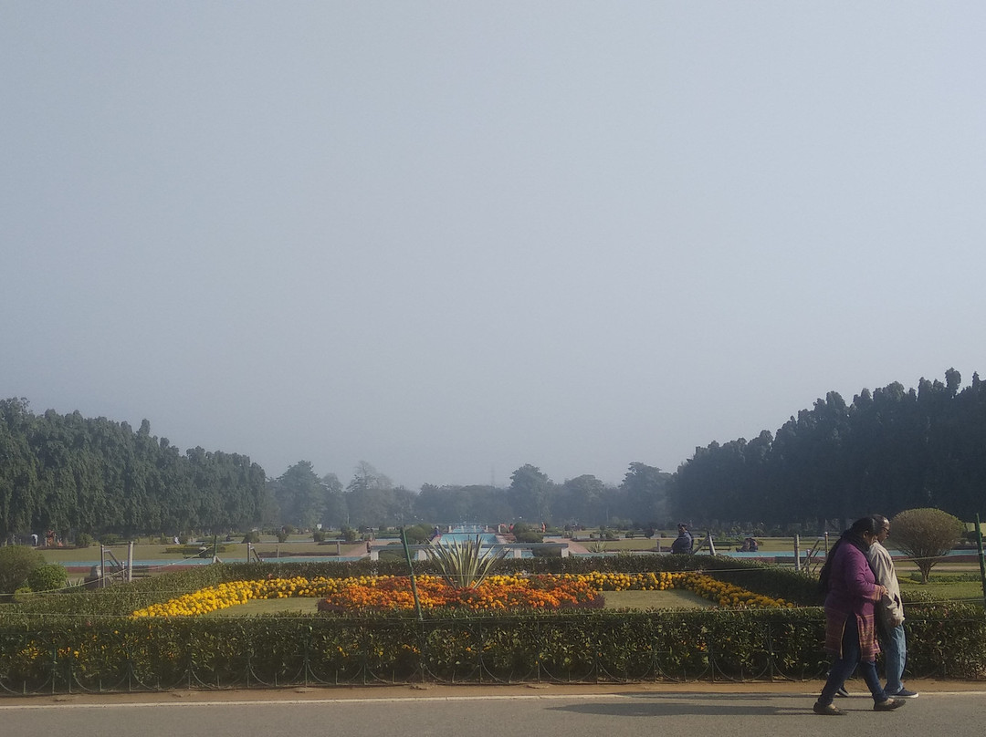 银禧公园景点图片