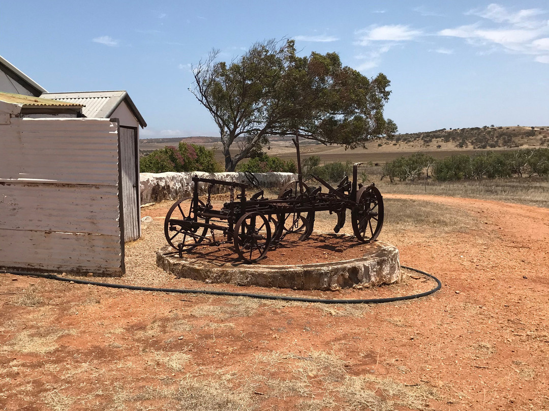 Oakabella Homestead, Tea Rooms and Campground-Bowes必去景点