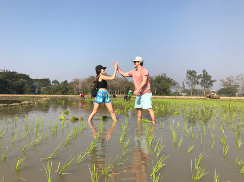 Inchai Trekking Tours-清迈必去景点