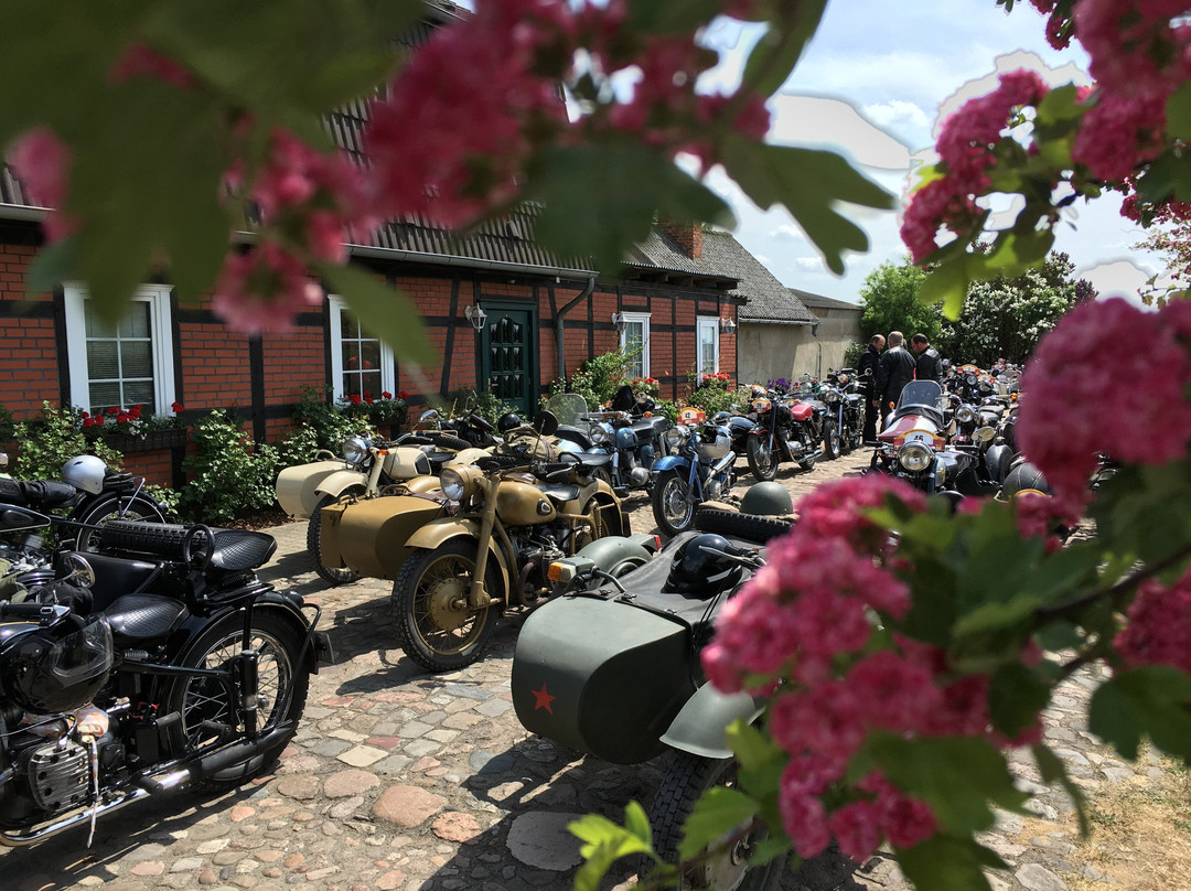 Wolfshotel am Arendsee主图