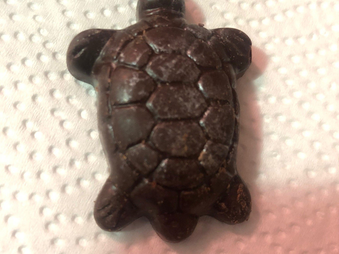 Chocolapagos Darwin's Favourites-阿约拉港必去景点