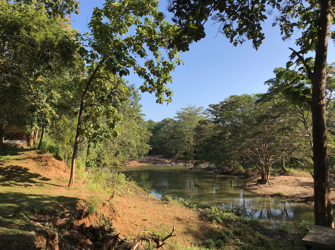 Scenery River Side Eco Resort主图