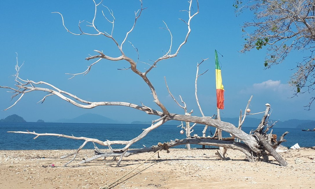 Reggae Island Private Island主图
