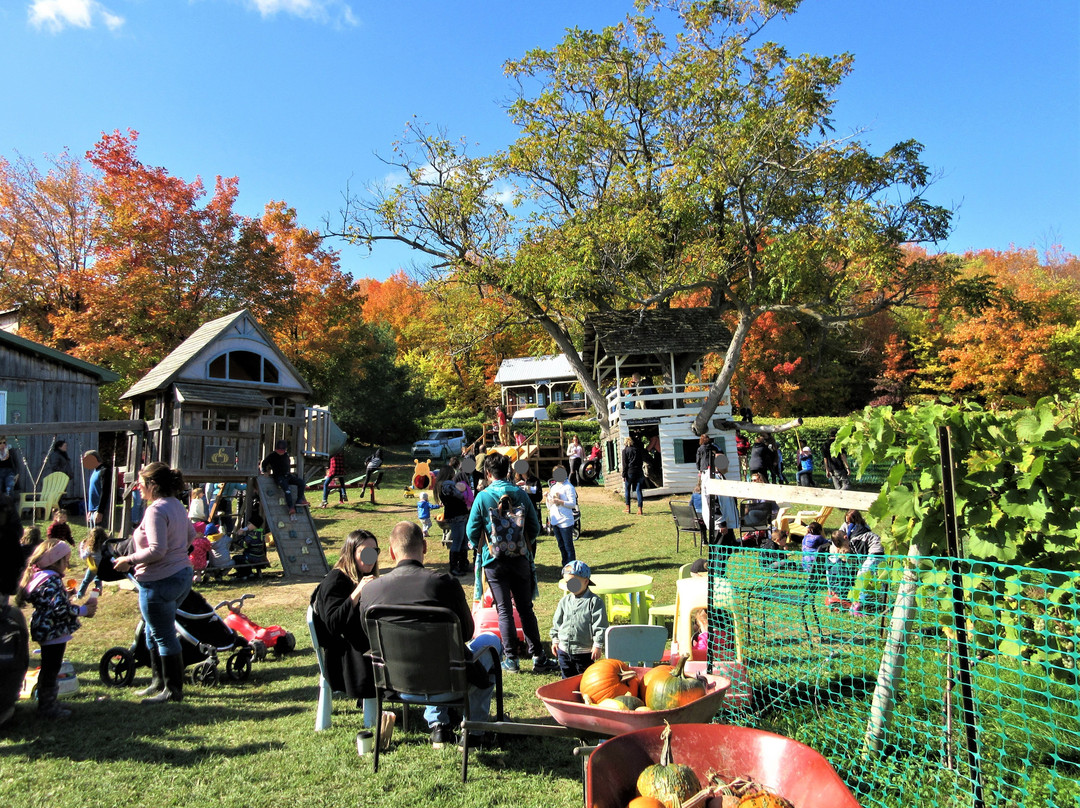 Centre d'Interpretation de la Courge du Quebec-Saint-Joseph-du-Lac必去景点