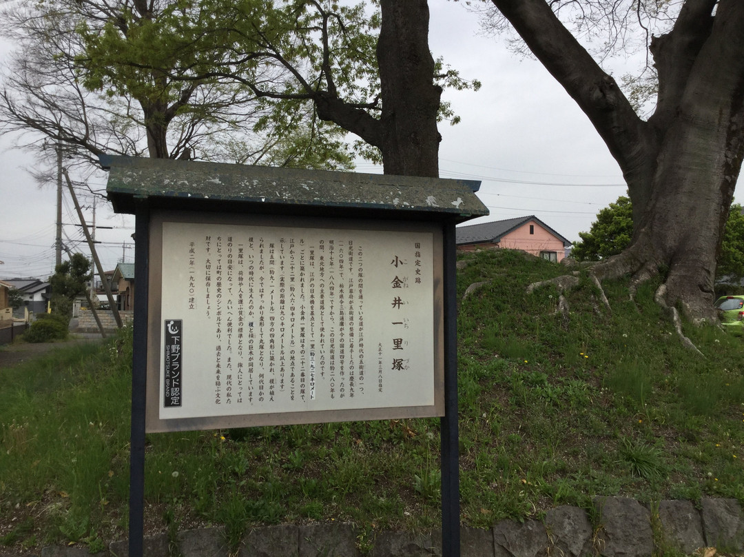 Koganei Ichirizuka-下野市必去景点