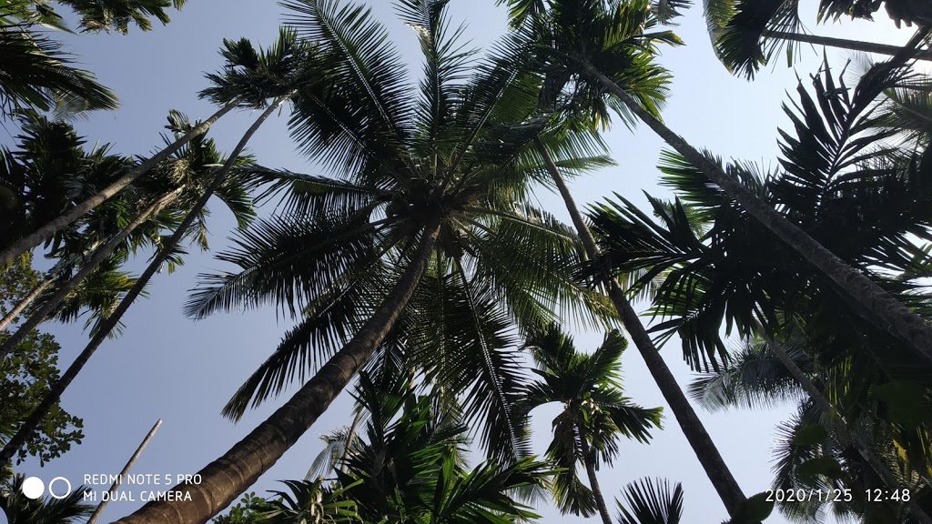 Bangli, The Finest Konkan Living-浴室