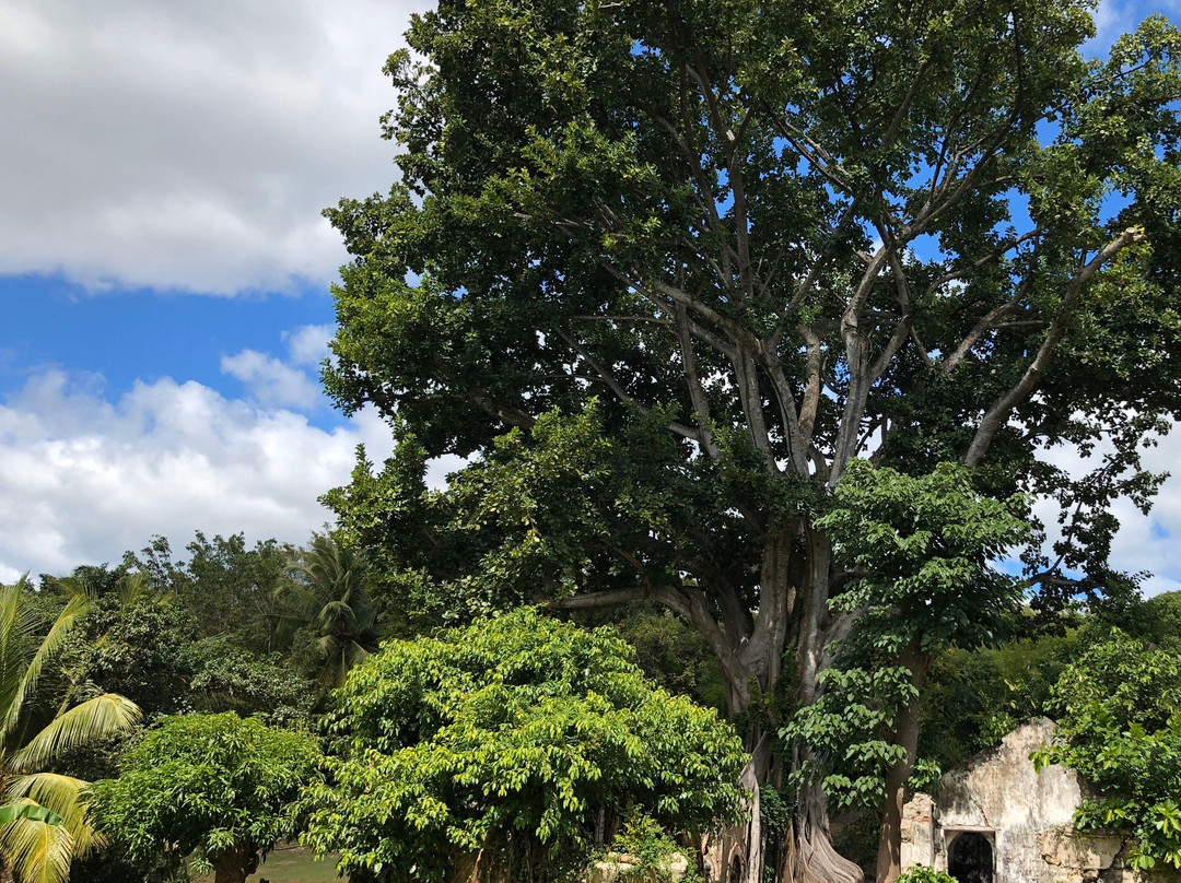 Vincent Excursions-Morne-A-l'Eau必去景点