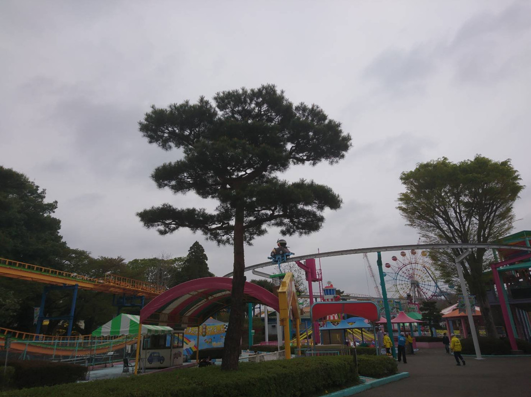 Tochinoki Family Land-宇都宫市必去景点