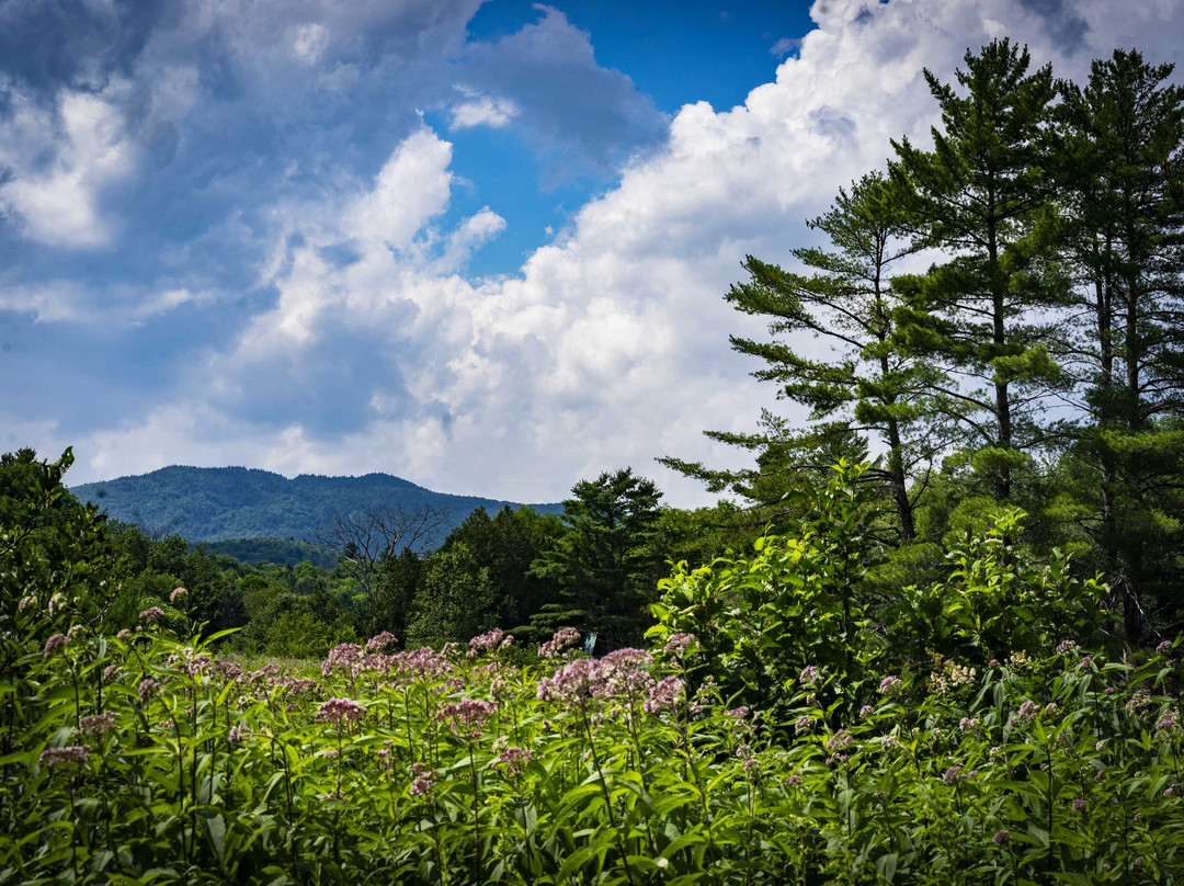 Orford Music-Orford必去景点